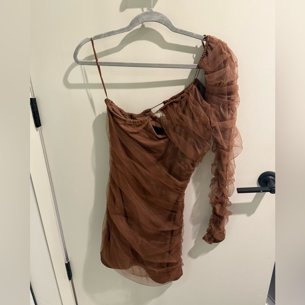 Zara Brown Tulle Mini Dress